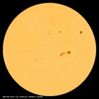 SDO/HMI Continuum Image of the Sun