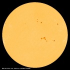 SDO/HMI Continuum Image of the Sun