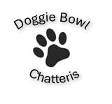 dog bowl